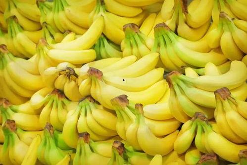 国产无套精品视频香蕉,激情四溢的视觉盛宴